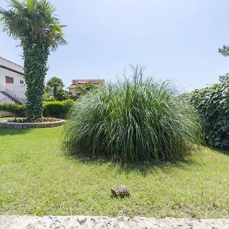 Branimir Guest house Vodice